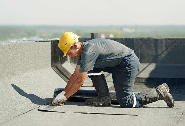 Best Specialty Insulation in St Ansgar, IA
