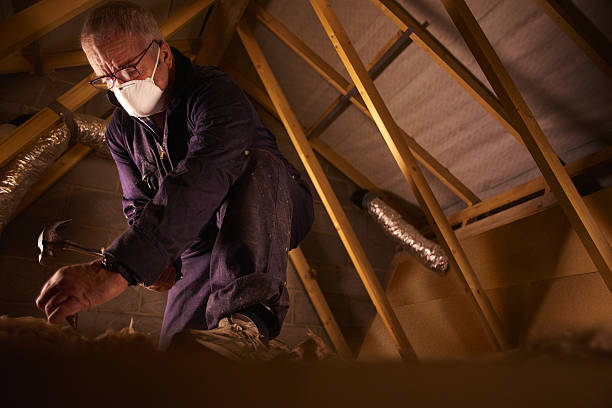 Best Commercial Insulation in St Ansgar, IA
