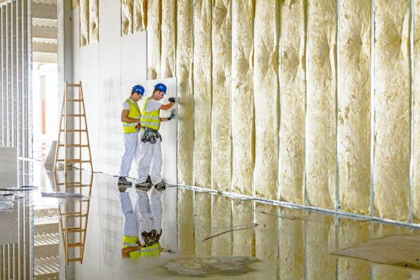 Best Insulation Maintenance and Repair in St Ansgar, IA